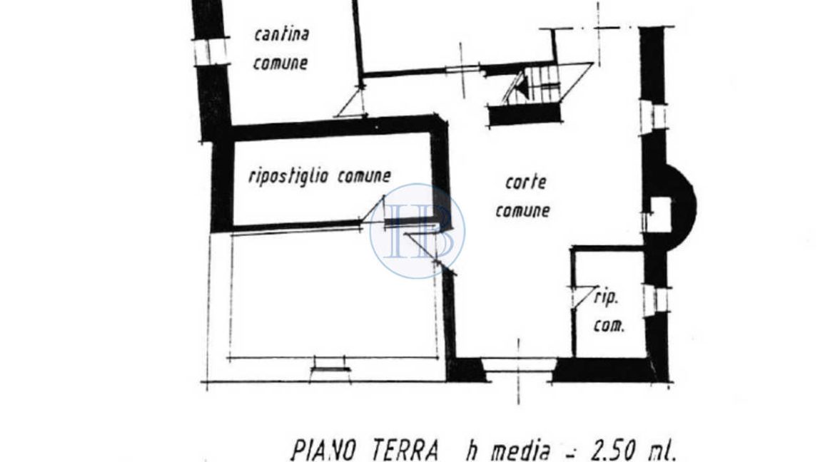 cantine